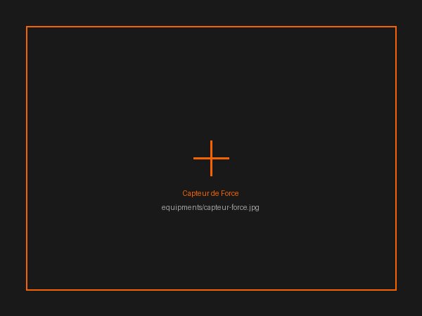 Capteur de force-couple